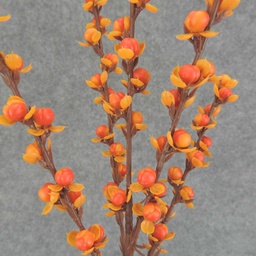 [SBF6089-AST] BITTERSWEET SPRAY X5 26&quot; (4/BG) 2 ASST'D COLORS