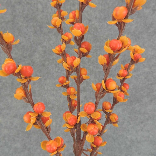 [SBF6089-AST] BITTERSWEET SPRAY X5 26" (4/BG) 2 ASST'D COLORS