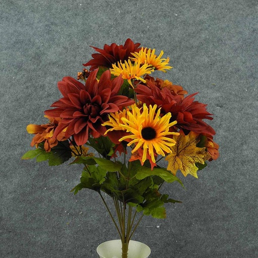 [SBF8025] DAHLIA/ZINNIA MIXED BUSH X13