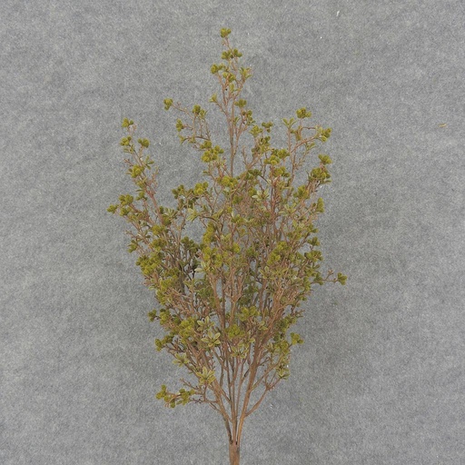 [SBF7002-GRN] BLOSSOM/BERRY BUSH 20" GREEN