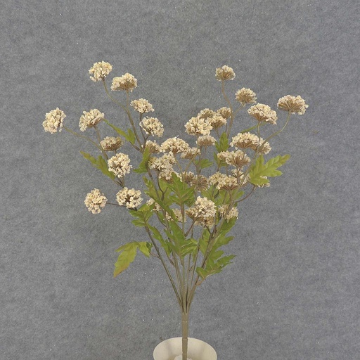 [SBF7007-BEI] THISTLE BUSH X8                  BEIGE