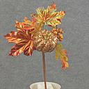 [SBF5051] PUMPKIN/LEAF/BERRY PICK 12"