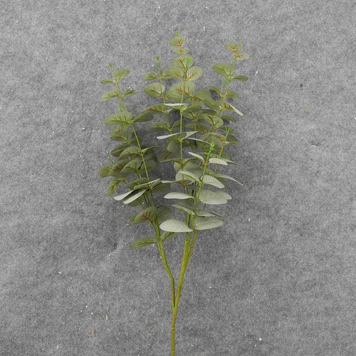 [SBF8003] EUCALYPTUS SPRAY FROSTED X11