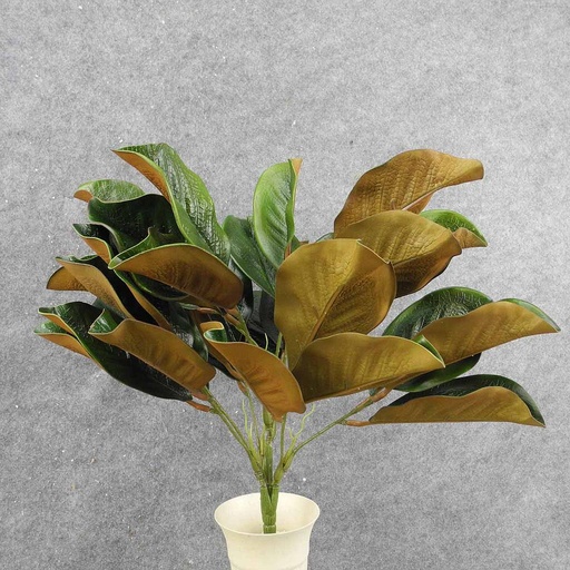 [SBF8006] MAGNOLIA LEAF BUSH W/30 LVS