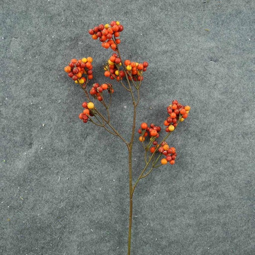 [SBF8021] BERRY CLUSTER SPRAY 23" AUTUMN