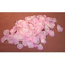 [SE13-PCM] PETALS ROSE (PONGEE) PINK/CREAM (200/BG)