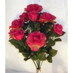 [SE14-FUS] ROSE/ROSE BUD BUSH X12 FUSCHIA