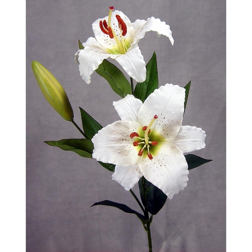[SE27-CWT] LILY SPRAY X2 BLMS X1 BUD