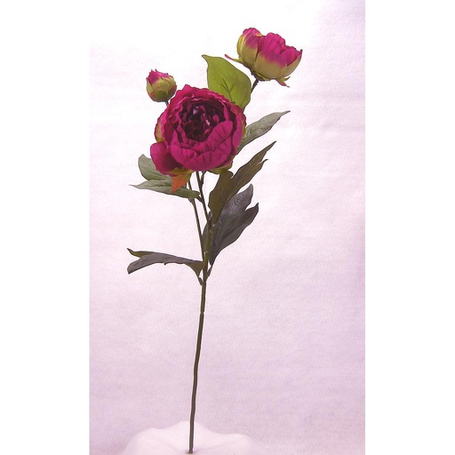 [SE28-FUS] PEONY SPRAY X2 BLMS X1 BUD  FUCHSIA