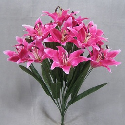 [SE3101] LILY TIGER BUSH X14  RUBRUM