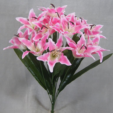 [SE3101-PKC] LILY TIGER BUSH X14 PINK/CREAM