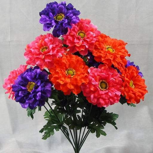 [SE3109-BOP] MARIGOLD BUSHx12 BEAUTY/ORG/PUR