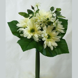 [SE336-CRM] GERBERA BUNDLE X7  CREAM