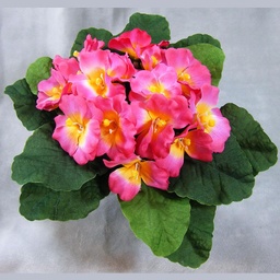 [SE337-BEA] PRIMULA BOUQUET    BEAUTY