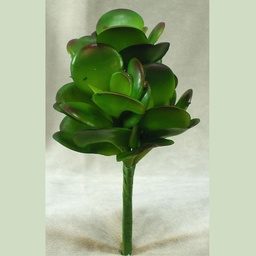 [SE343] CACTUS 9&quot; EUCALYPTUS PICK X3