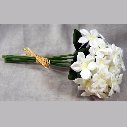 [SE372] STEPHANOTIS BUNDLE X5 W/RAFFIA