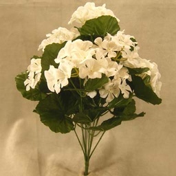 [SE396-CWH] GERANIUM BUSH X9 CREAM/WHITE