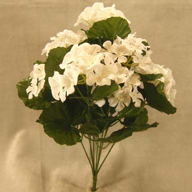 [SE396-CWH] GERANIUM BUSH X9 CREAM/WHITE