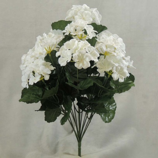 [SE397] GERANIUM BUSH X14 CREAM/WHITE