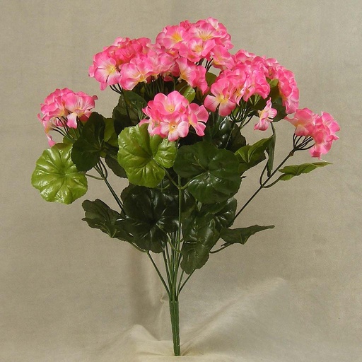 [SE397-PNK] GERANIUM BUSH X14     PINK