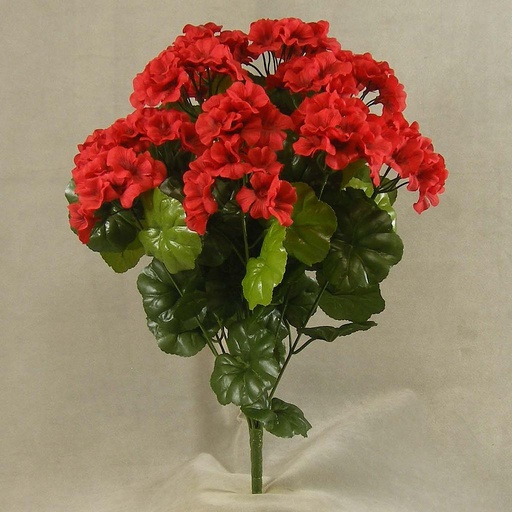 [SE397-RED] GERANIUM BUSH X14      RED