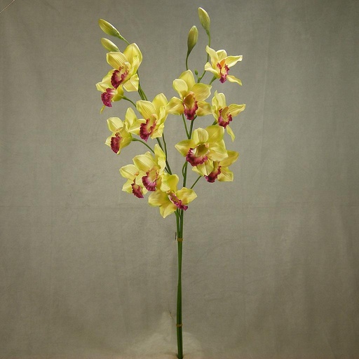 [SE4008-GRN] 37" CYMBIDIUM ORCHID X6  (2/BUNDLE)  GREEN