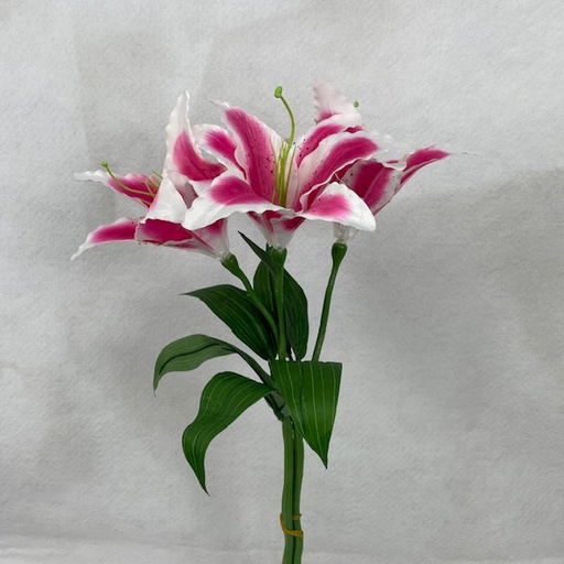 [SE4017-RUB] 17" RUBRUM LILY ASIATIC SPRAY(3/BUNDLE)
