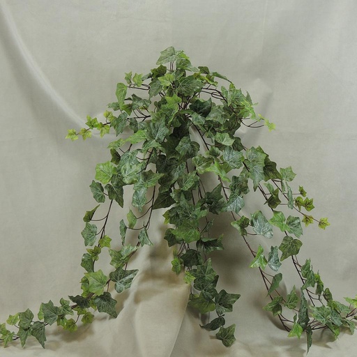 [SE4049-FRT] IVY ENGLISH HANGER 40" 244 LVS FROSTED