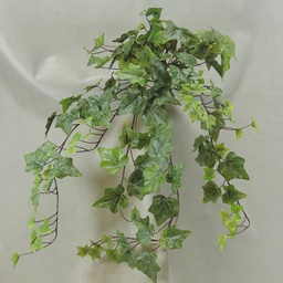 [SE4051-FRT] IVY ENGLISH HANGER 28&quot; 144 LVS  FROSTED