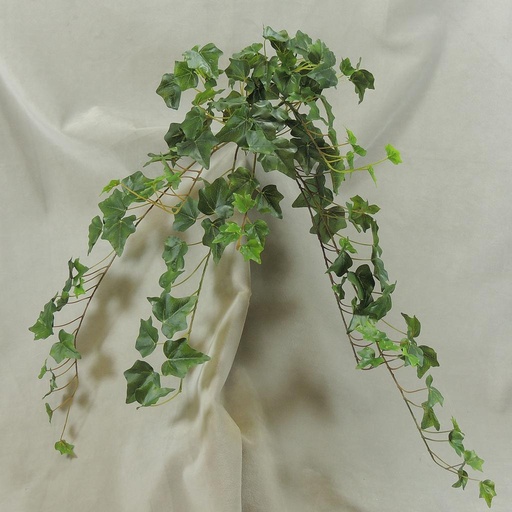 [SE4051-GRN] IVY ENGLISH HANGER 28" 144 LVS  GREEN
