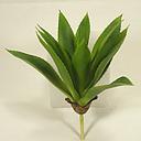 [SE4065] ALOE PICK 8" GREEN