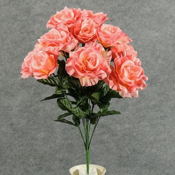 [SE4103-PCH] ROSE OPEN BUSH X12   PEACH