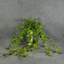 [SE5014] GRAPE IVY HANGING BUSH 41&quot;