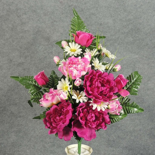 [SE5025-FPK] PEONY/ROSE/DAISY HALF BUSH X18  FUCHSIA/PINK