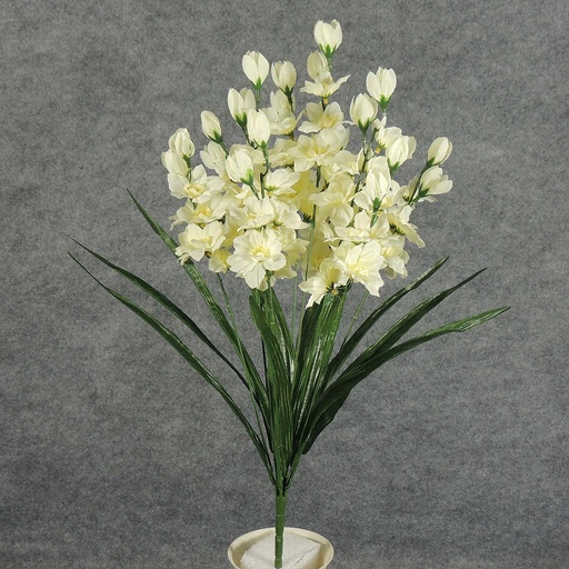 [SE5043-CWH] DELPHINIUM BUSH X10  CREAM/WHITE