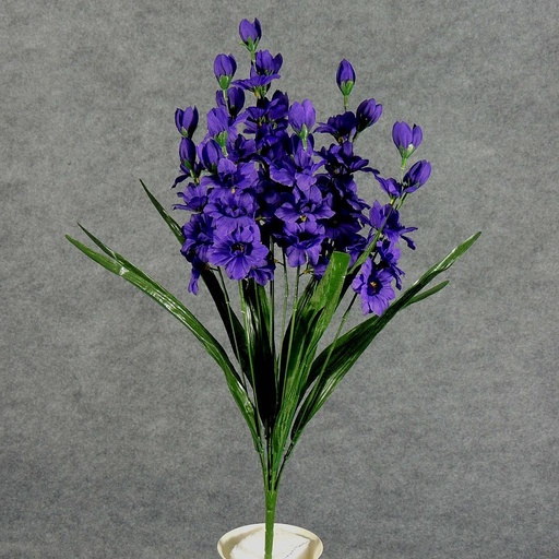 [SE5043-PUR] DELPHINIUM BUSH X10  PURPLE