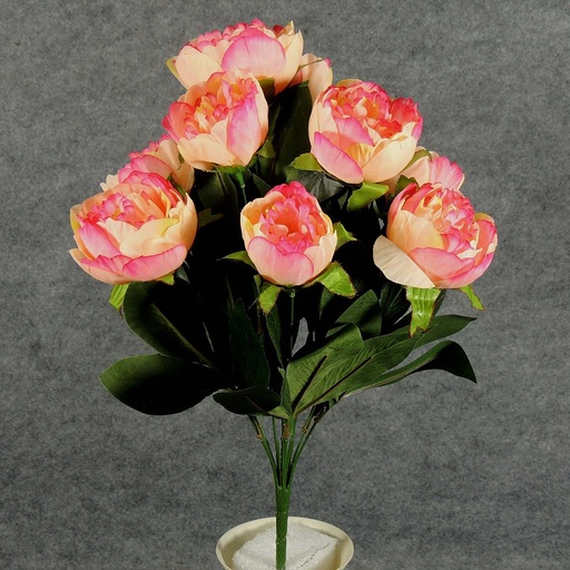 [SE5046-CPK] PEONY BUSH X10   CREAM/PINK