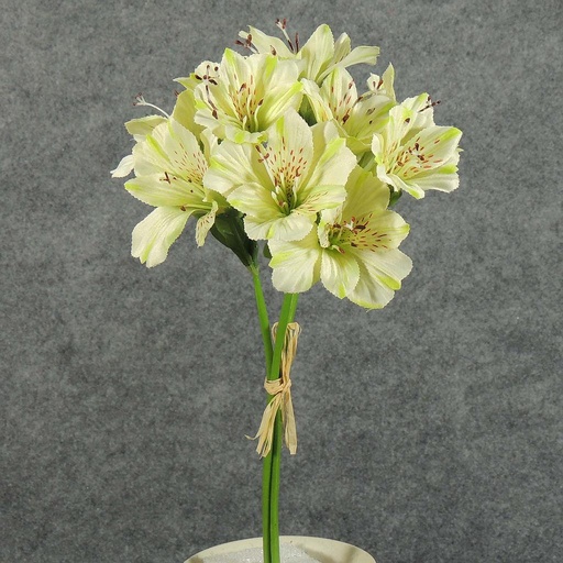 [SE5063-GRN] ALSTROMERIA BUNDLE W/RAFFIA TIE  GREEN