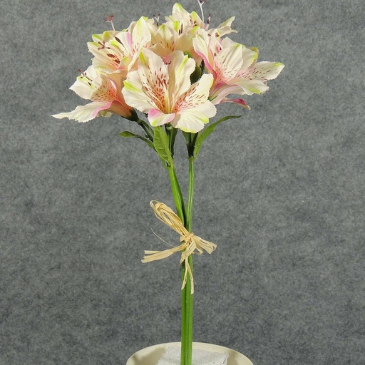 [SE5063-PKC] ALSTROMERIA BUNDLE W/RAFFIA TIE  PINK/CREAM