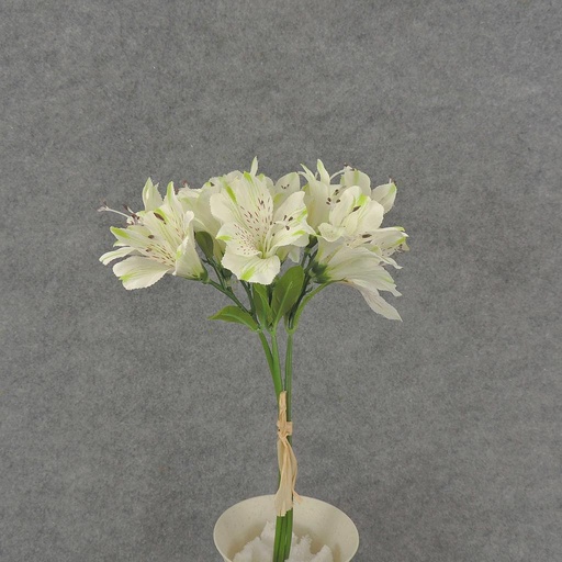 [SE5063-WHT] ALSTROMERIA BUNDLE W/RAFFIA TIE  WHITE