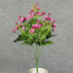 [SE5070-FUS] DAISY WILD BUSH X9   FUSCHIA