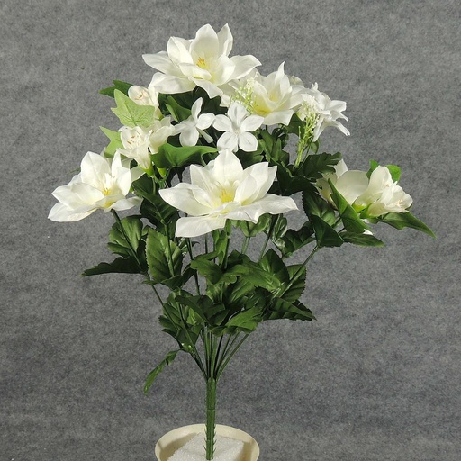 [SE5072] CLEMATIS/STEPHANOTIS BUSH X14