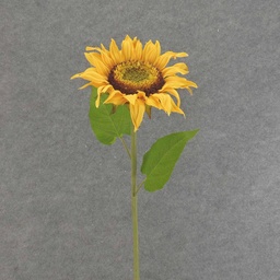 [SE6037] SUNFLOWER 30" SPRAY 8" BLOOM YELLOW