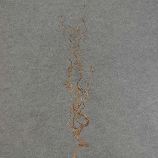 [SE6038] TWIG ARTIFICIAL SPRAY 34"