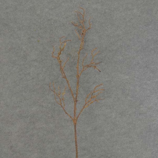 [SE6043-BRN] TWIG ARTIFICIAL SPRAY 35"  BROWN