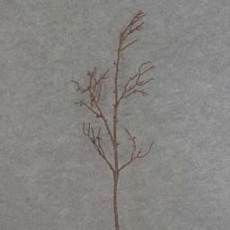 [SE6043-DKB] TWIG ARTIFICIAL SPRAY 35&quot;  DARK BROWN