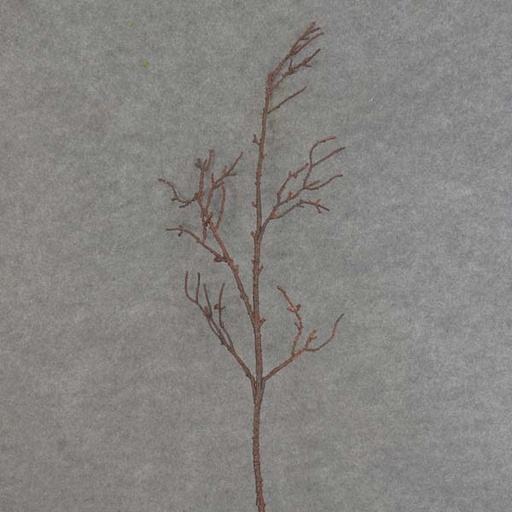 [SE6043-DKB] TWIG ARTIFICIAL SPRAY 35"  DARK BROWN