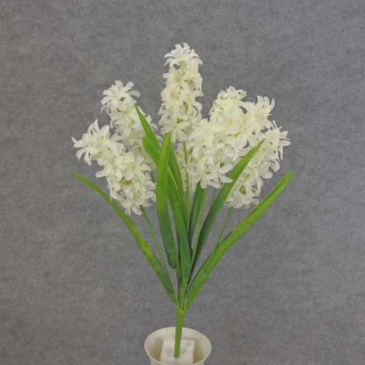 [SE6044-CWH] HYACINTH BUSH X7 20.5"  CREAM/WHITE