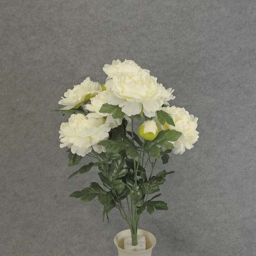 [SE6061-CWH] PEONY BUSH X12 21" CREAM/WHITE