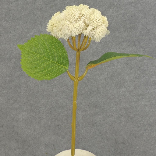 [SE6081-CRM] SEDUM STEM 15"   CREAM